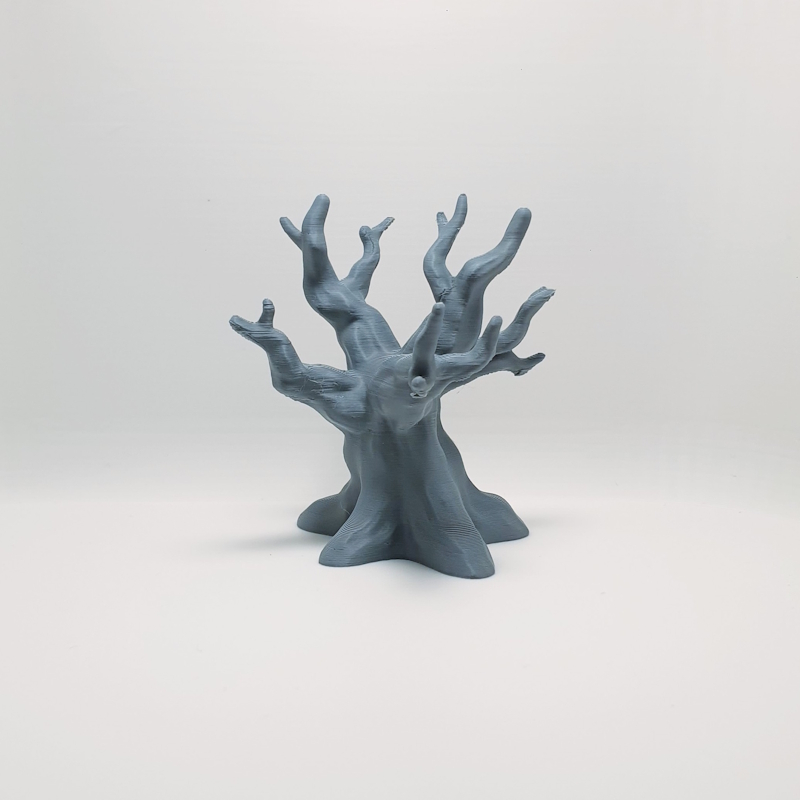 broken dead tree 3