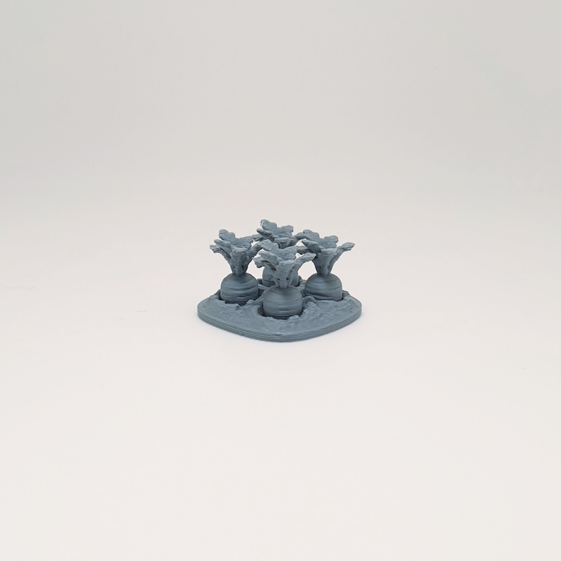 Miniature Carrot Patch - Image 2