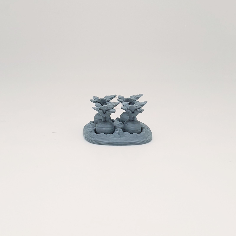 Miniature Carrot Patch - Image 4