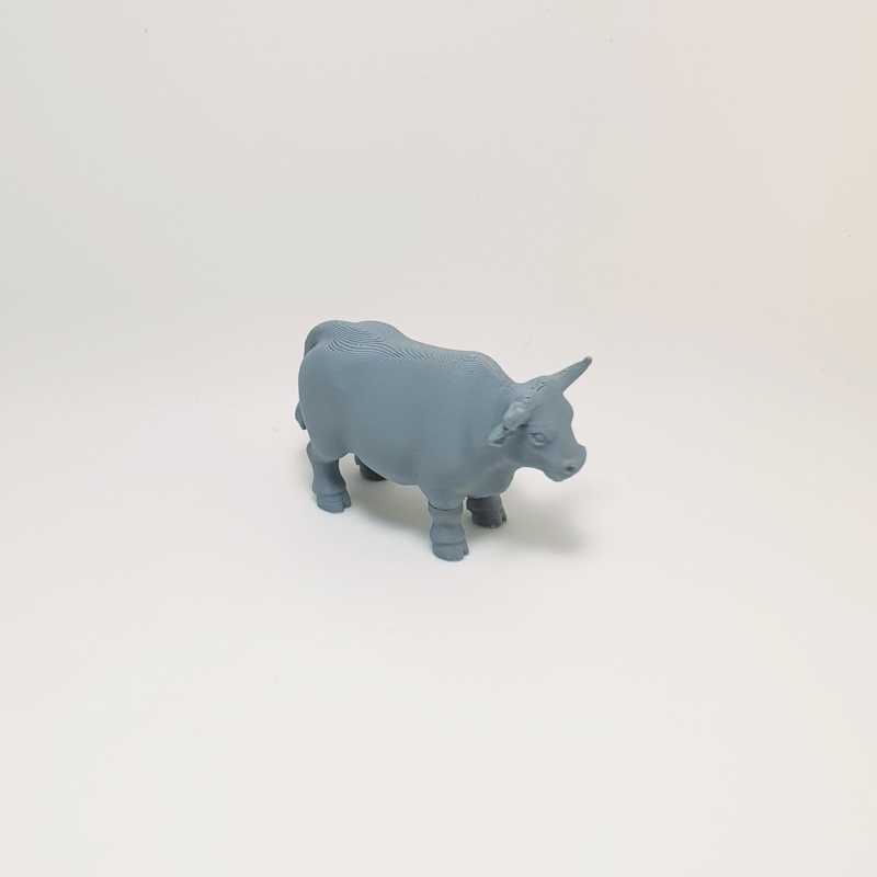 Dairy Cow - Image 4
