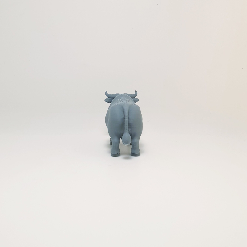 Dairy Cow - Image 6