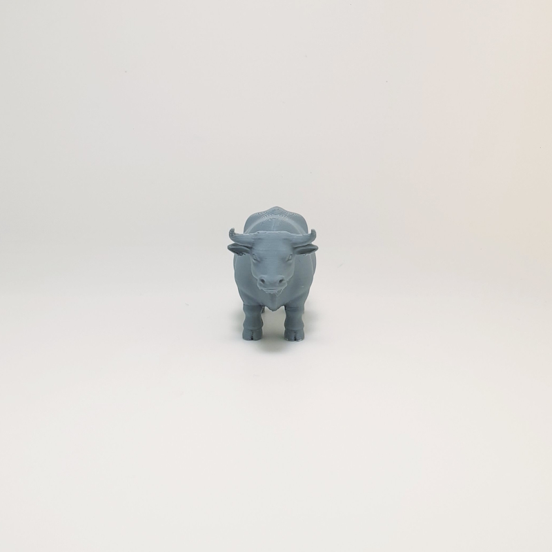 Dairy Cow - Image 5