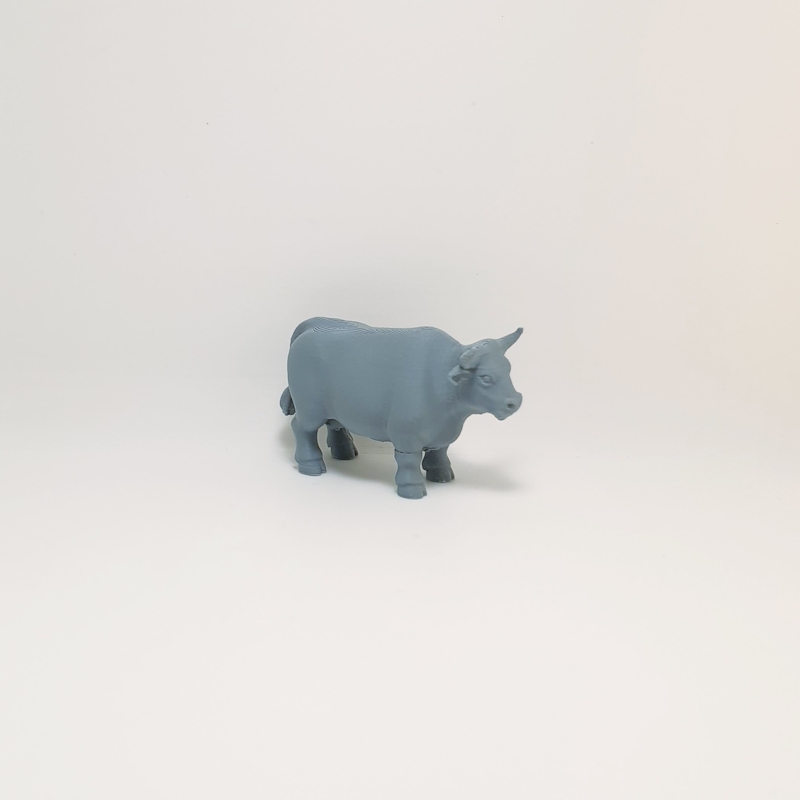 Dairy Cow