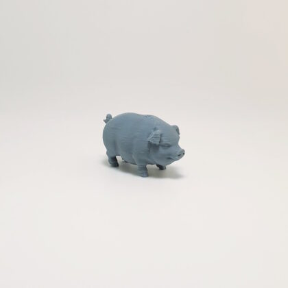 Farmyard Pig