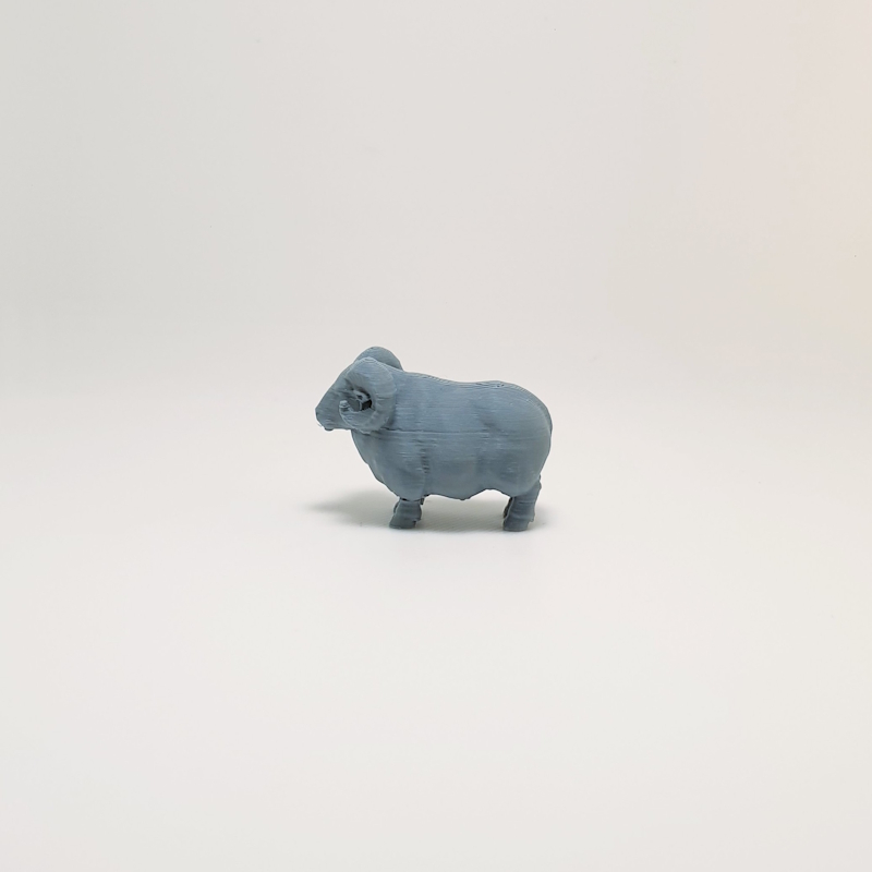 Farmyard Ram - Image 4