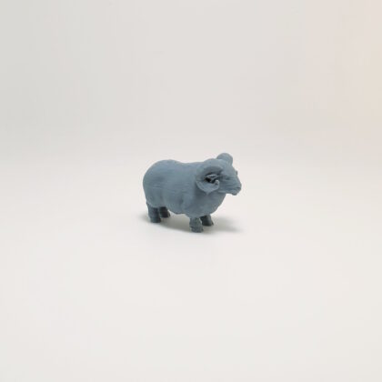 Farmyard Ram
