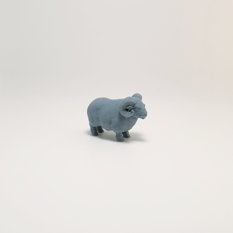 Farmyard Ram