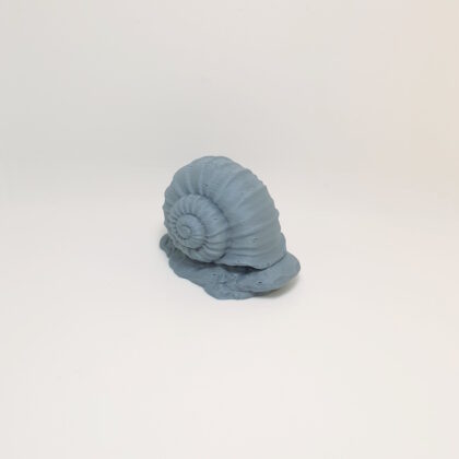 Giant Snail Shell