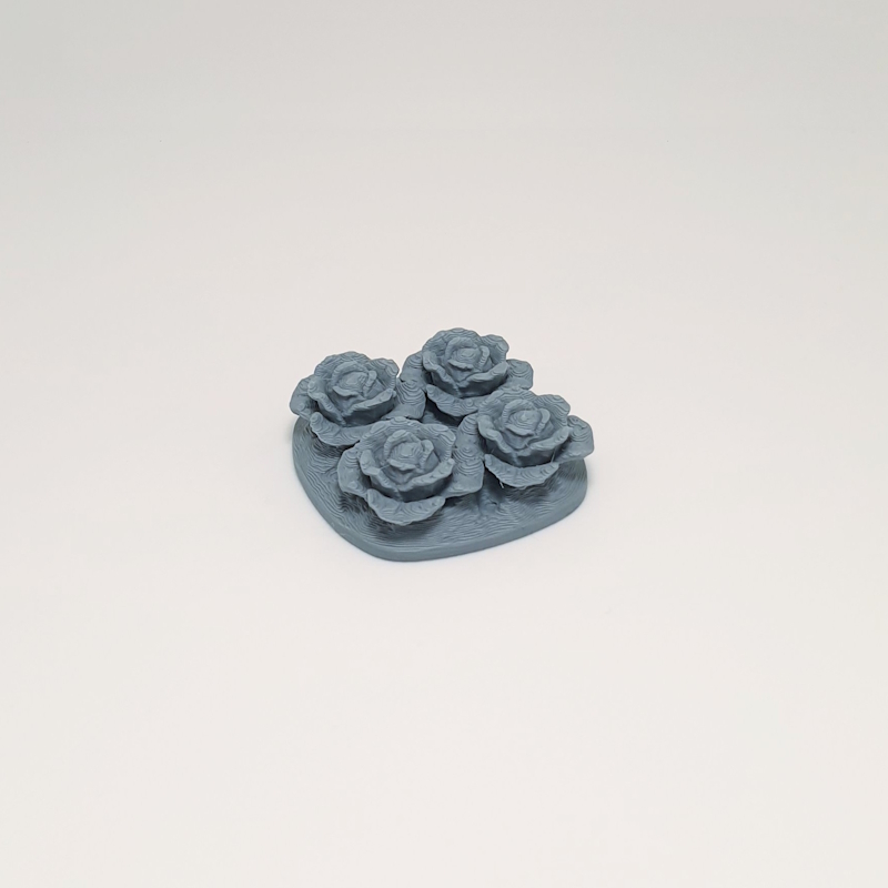 Miniature Lettuce Patch - Image 3
