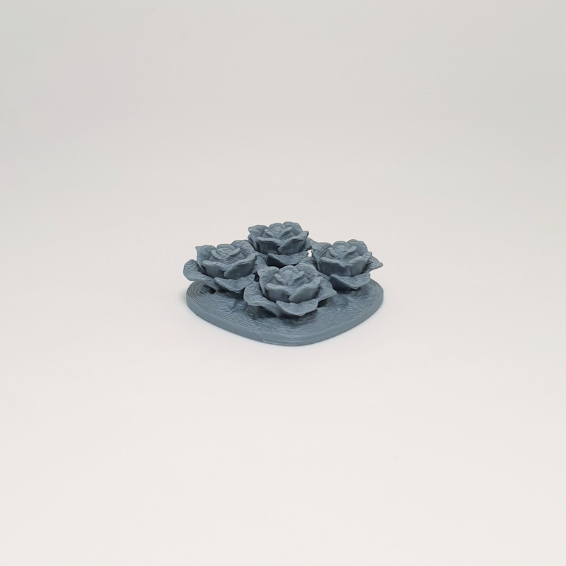 Miniature Lettuce Patch - Image 2