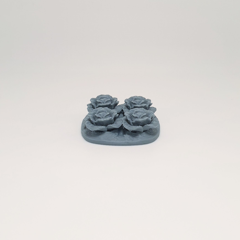 Miniature Lettuce Patch - Image 4