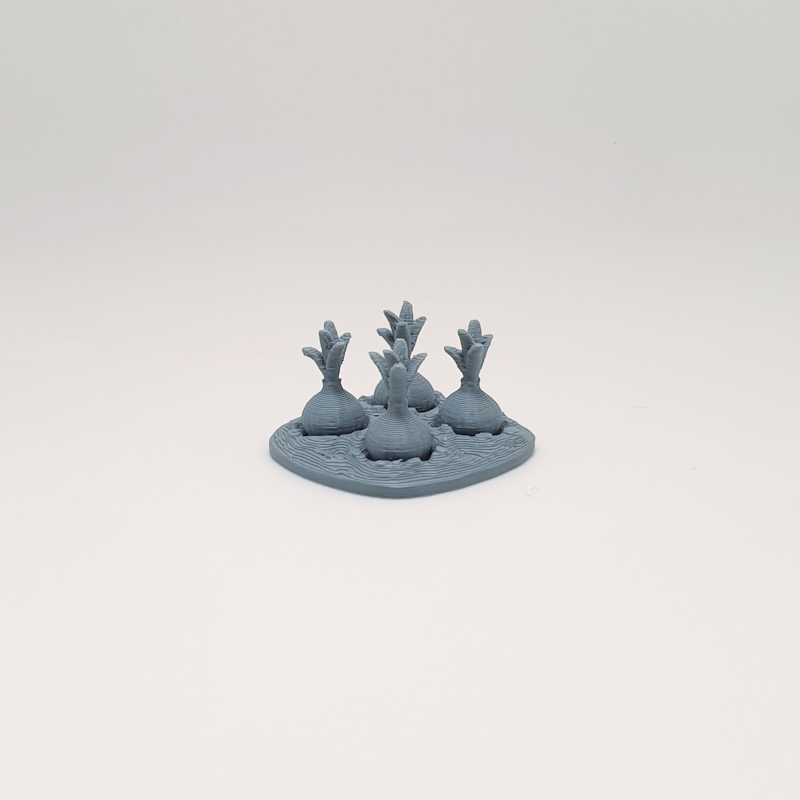 Miniature Onion Patch - Image 2