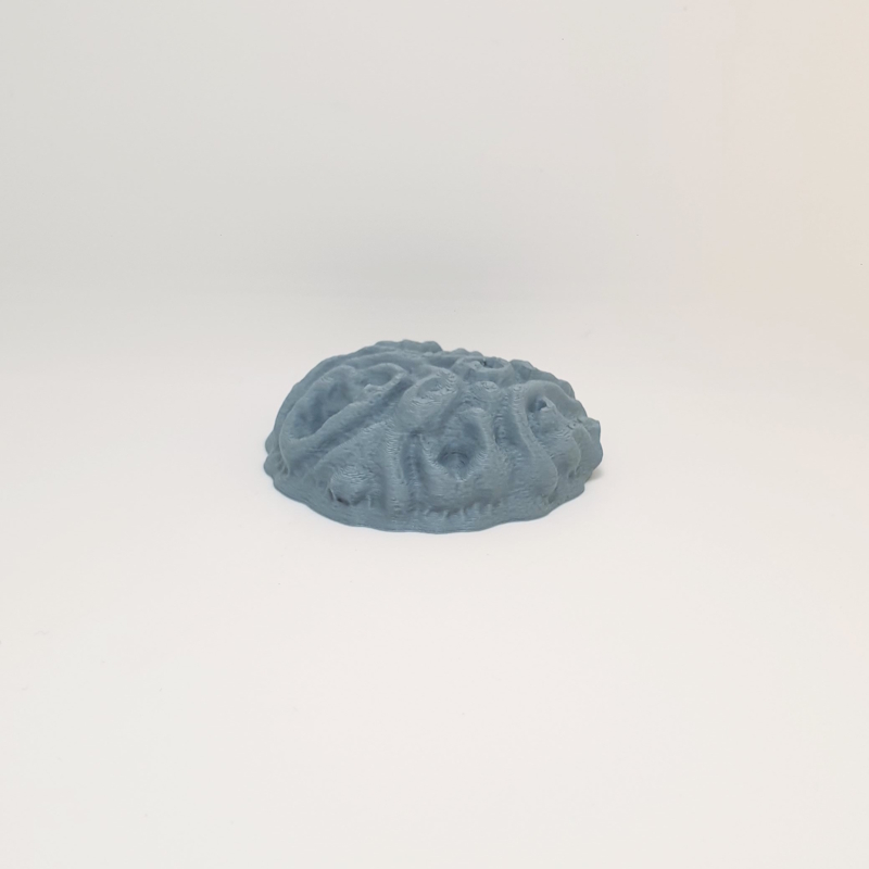 Petrified Coral Mound - Image 3