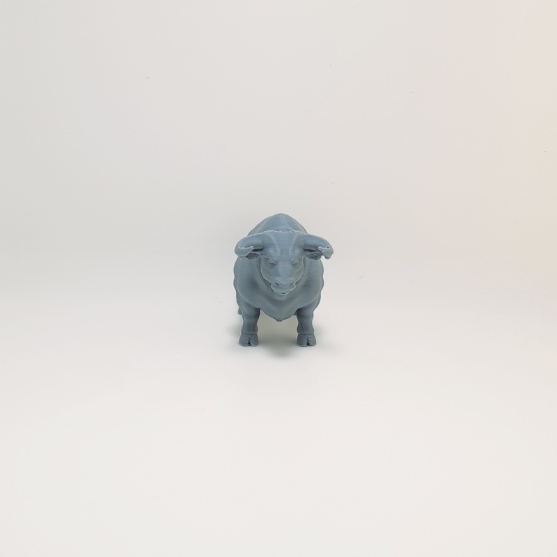 Prize Bull - Image 5